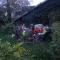 B&B Rosindell
