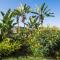 Casa Viña: a spectacular away from it all holiday - La Orotava