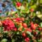 Casa Viña: a spectacular away from it all holiday - La Orotava