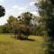 Foto: Tropical Coast Retreat - Pet Friendly 13/49