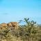Mutara Camp- Nanyuki