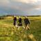 Turnberry accommodation