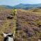 Pentre Riding Stables - Abercraf