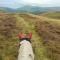 Pentre Riding Stables