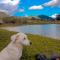 Recanto do Vale Glamping