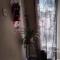 Loft Rufino