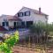 Apartments with WiFi Zlarin - 15409