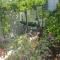 Apartment Hvar 15378a