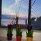 Apartments with parking space Drasnice, Makarska - 15492