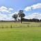 Ironbark Hill Estate
