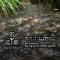 The Suite Forest FUKUOKA DAZAIFU -TOBARI- 1日1組限定の貸別荘 大型犬ペット可