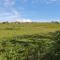 Sanctuary Cottage - St Ives