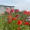 Clonmore Lodge B&B