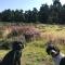 Courtyard Bothy - Grantown on Spey