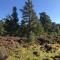 Courtyard Bothy - Grantown on Spey