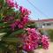Apartments by the sea Petrcane, Zadar - 17342