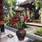 Arsa Wayan Guest House - Klungkung