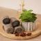 Anise Suites