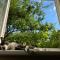 Garden View Apartment