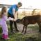 Fernhill Guest Farm