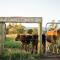 Fernhill Guest Farm Fernhill Guest Farm