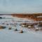 Arctic Bath