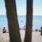 Vidhave