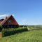 Family friendly house with a parking space Donja Stubica, Zagorje - 19236 - Donja Stubica