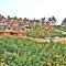 Jungmun Log Pension & Resort - Seogwipo