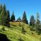 Vorderkaseralm - Sankt Johann im Pongau