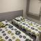 Residencial Milagre 202