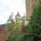 Casina di Alice Casina di Alice