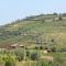 Quinta dos Padrinhos - Suites in the Heart of the Douro