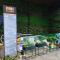 Comfy Studio Kuching