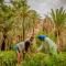 Ouednoujoum Ecolodge & Spa - Ouarzazate