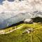 Alpen Apartment The View