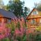 Susitna River Lodging, Riverside Cabins - Talkeetna