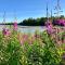 Susitna River Lodging, Riverside Cabins - Talkeetna