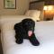 Holiday Inn Express & Suites Albuquerque Historic Old Town by IHG