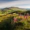 Gulabin Lodge - Glenshee