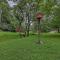 Mtn Views and Fire Pit Rustic Piney Creek Cabin - Piney Creek