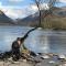 Llanberis Lodges