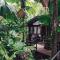 Daintree Wilderness Lodge