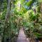 Daintree Wilderness Lodge