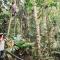Daintree Wilderness Lodge