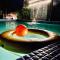 The Cristallo Resort