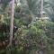 Ravenala Muine Resort
