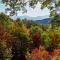 Red Apple Mountaintop cabin hot tub, WiFi, Pet friendly, Fireplace, pit, BEST VIEWS