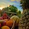 evasion guadeloupe