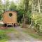 Sapphire forest garden shepherd’s hut - Church Stretton
